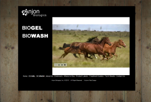 Anjon Biologics