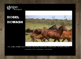 Anjon Biologics Home Page