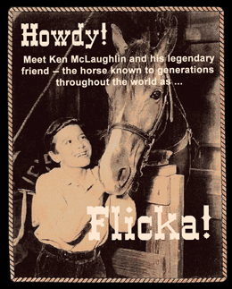 My Friend Flicka